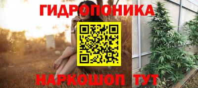 spice Сланцы
