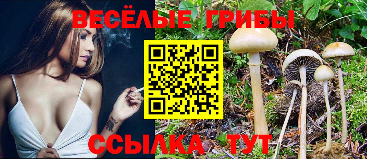 Псилоцибиновые грибы мицелий  Псилоцибиновые грибы GOLDEN TEACHER  Вход с VPN  Новороссийск 